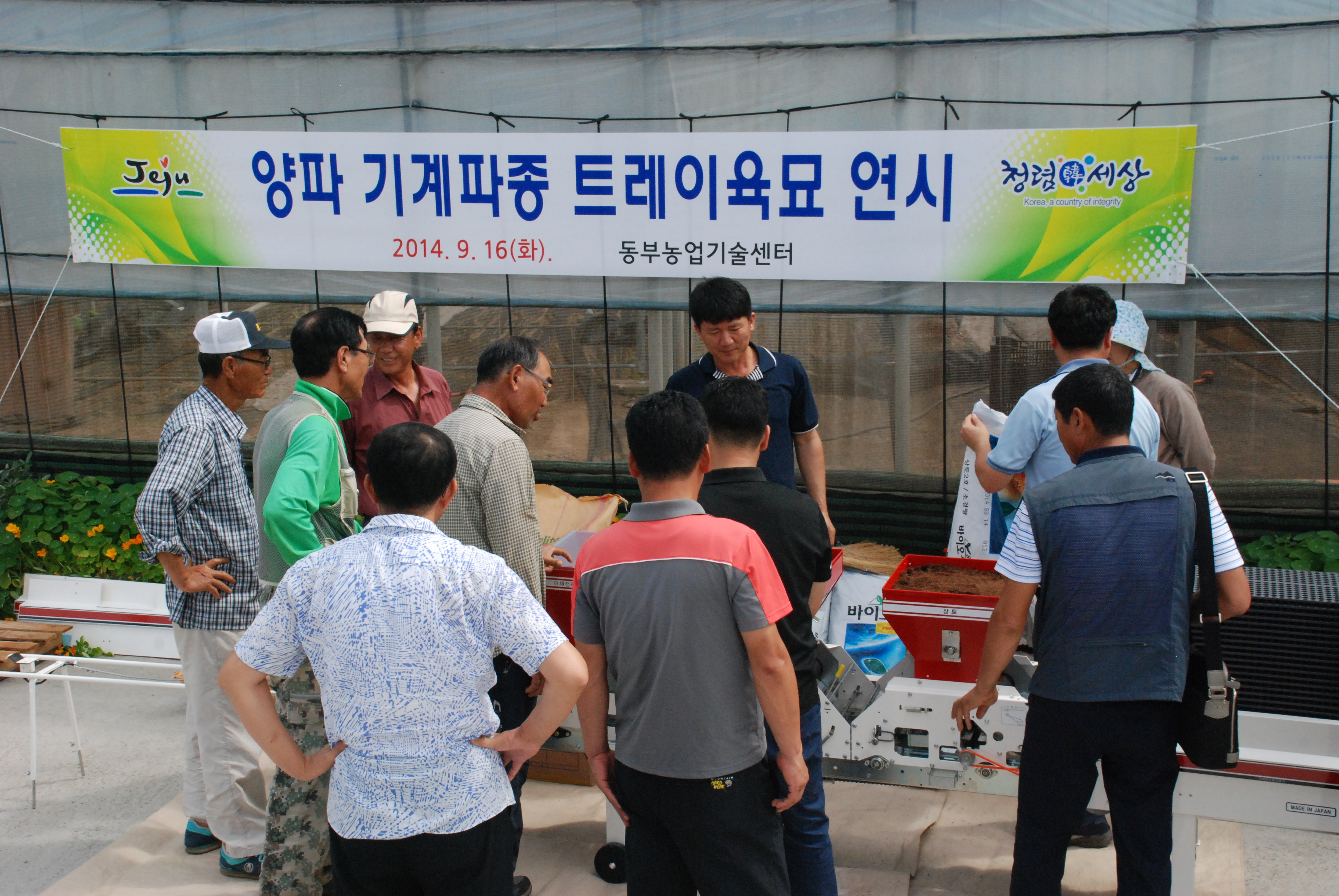 양파 기계파종 트레이육묘 연시